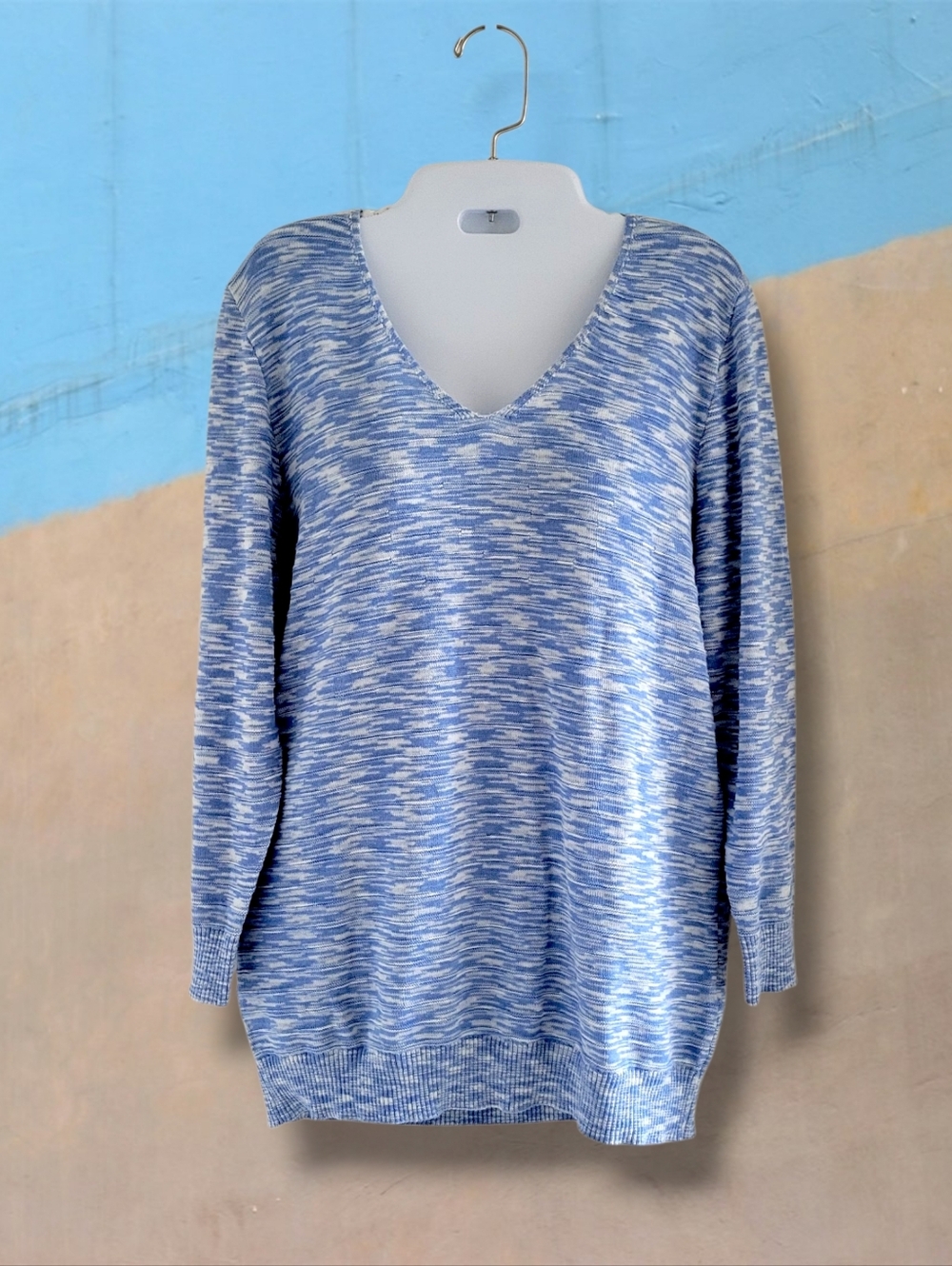 Alison Sheri | NWT Blue/White Marled V-Neck Long Sleeve Sweater (SIZE S)